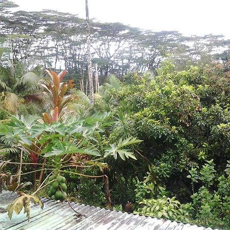 Lava Tree Tropic Inn Pahoa Buitenkant foto