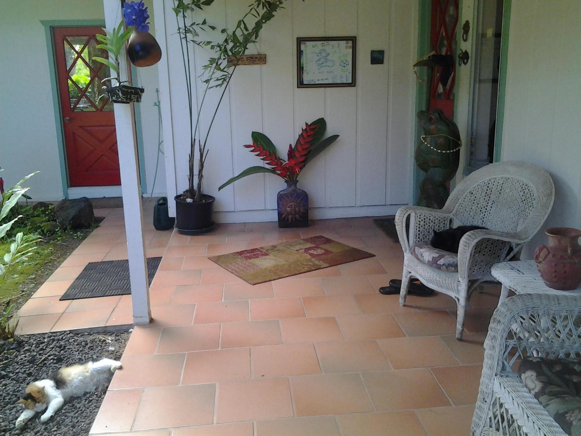 Lava Tree Tropic Inn Pahoa Buitenkant foto